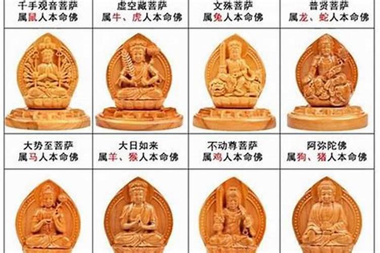 十二生肖对应的本命佛