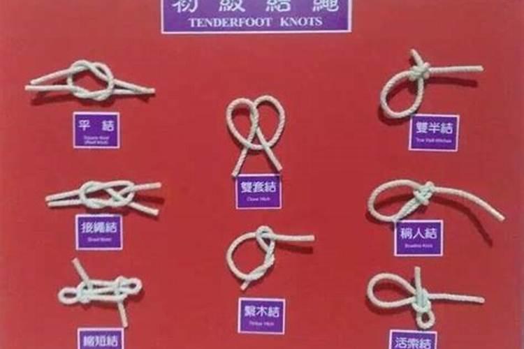 刘嘉玲生辰八字命理分析 真身不是人怎么回事