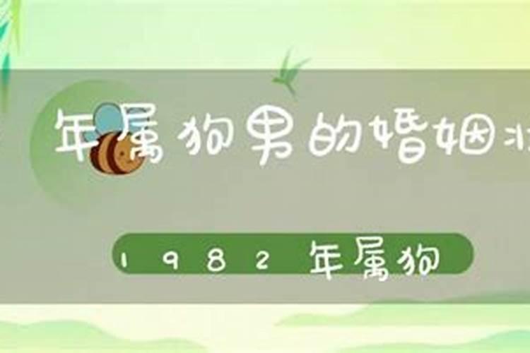 82年狗人一生三次婚姻1982年属狗的桃花劫是谁