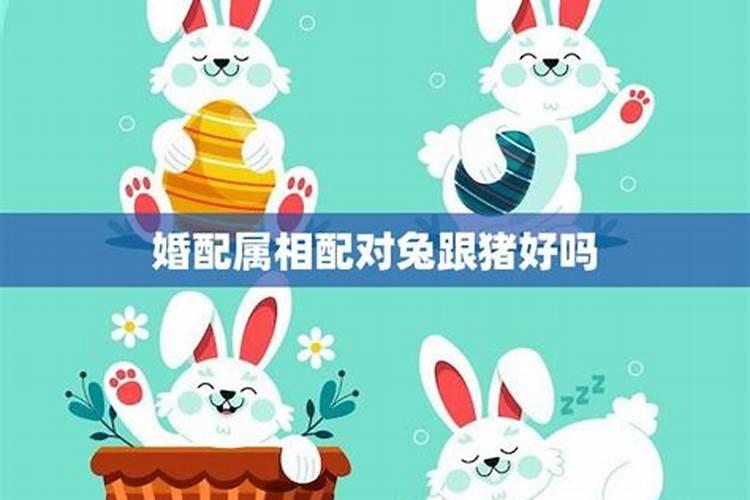 九零年五月三十属马男和九五年三月十三属猪女,八字合不合,能不能...