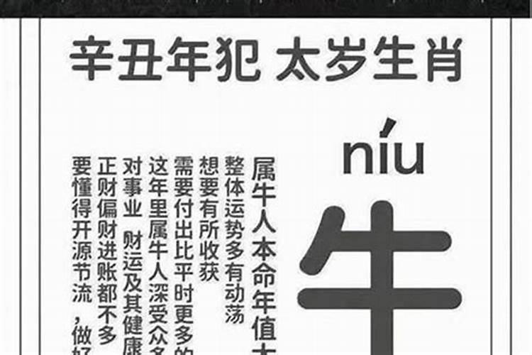 狗年有哪些属相犯太岁,佛教徒应该怎么办？