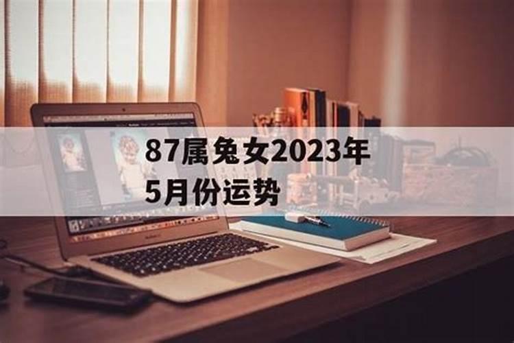 1975年兔2025年5月6月运势如何