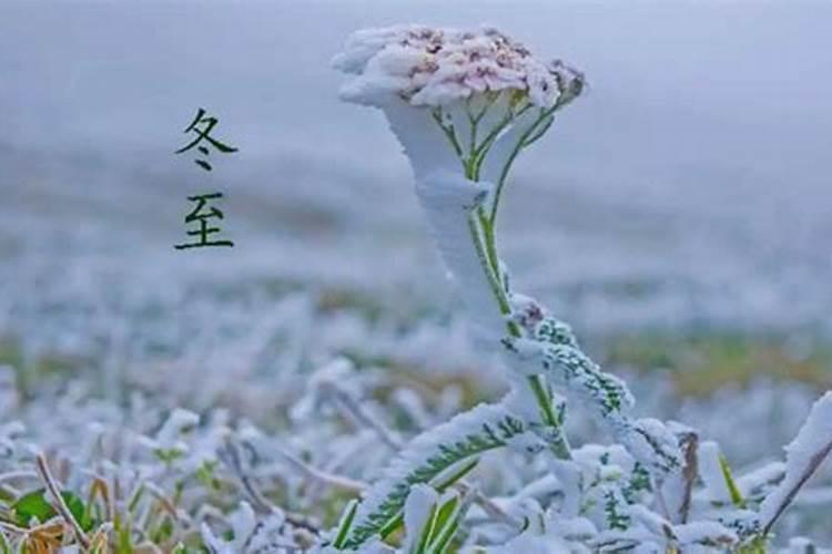 重阳节采访老师问什么问题