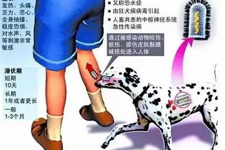 我们能为去世的亲人做什么？(转)