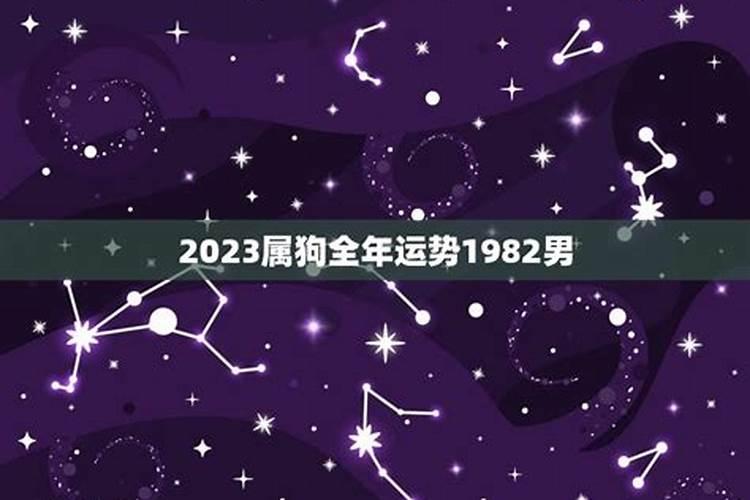 1982年狗2025年感情运势