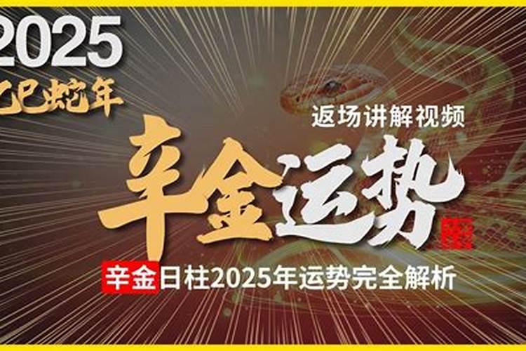 辛金日柱命理解析