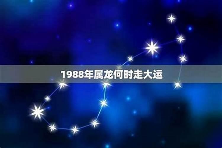 牌位阳上姓名是什么意思我在网上里功德牌位的时候