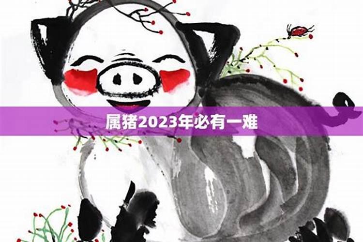 71年属猪男2025年运势