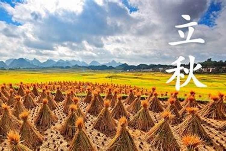 出生在立秋后算七月吗过了立秋算七月？