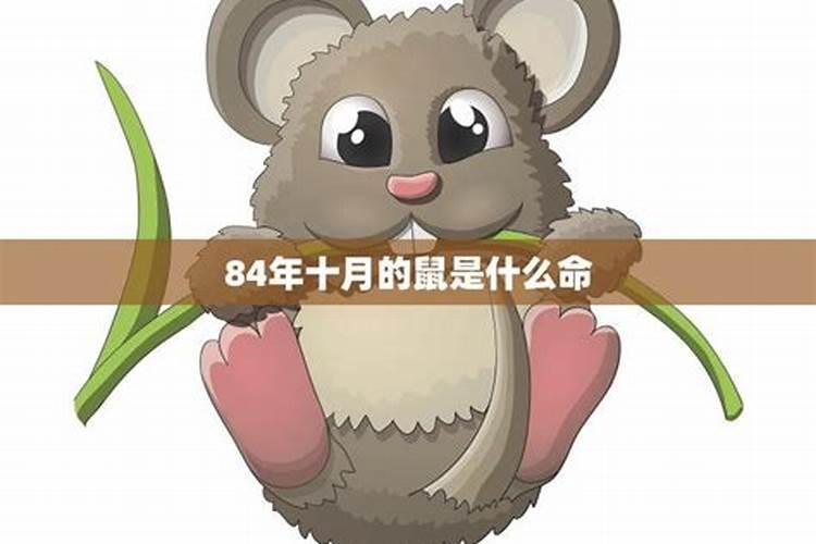 2025年1975年属兔男运程