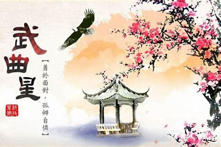命宫天府夫妻宫武曲破军 武曲星在夫妻宫婚姻不幸？
