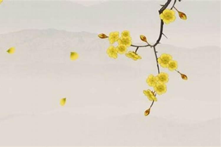 合婚八字查喜用神:八字中的用神怎么确定？