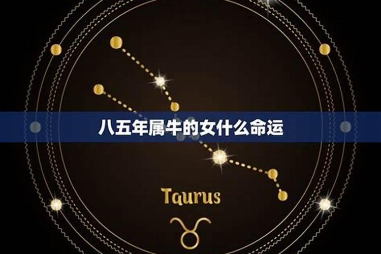 属牛的八五年,八五年属牛今年多少岁