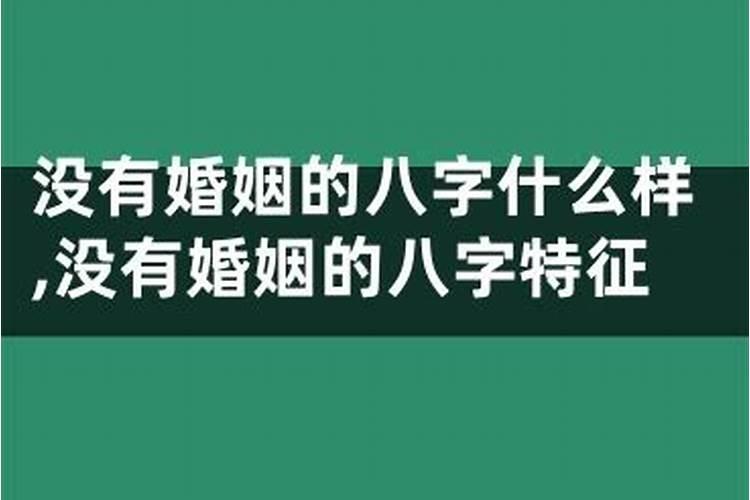 兔和蛇属相合不合,婚配怎么样
