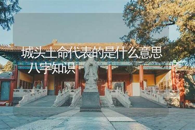 城头土 平地木 佛灯火 洞下水的意思是什么啊？