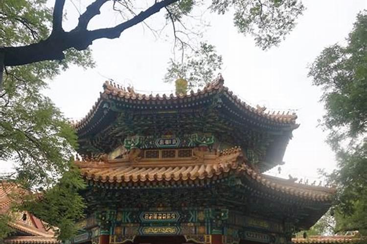 过段时间家里要念经,但我梦到变成黄色石头的小鬼!吓吓
