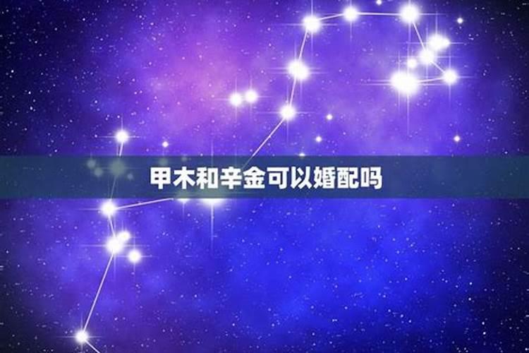甲子年和辛酉年合吗？日柱甲寅日和乙亥日合吗