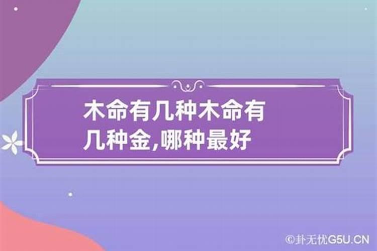 木命最厉害的是哪种木运势如何