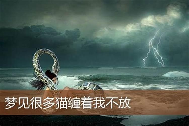 88年龙人最倒霉是几年