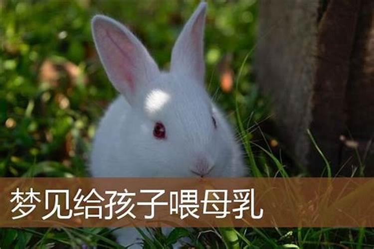 女梦见给情人生个儿子