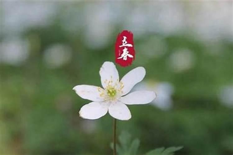 梦到一群红色的鱼在水里游是什么兆头