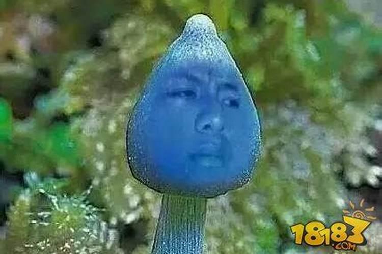 梦见老公背叛自己是什么意思