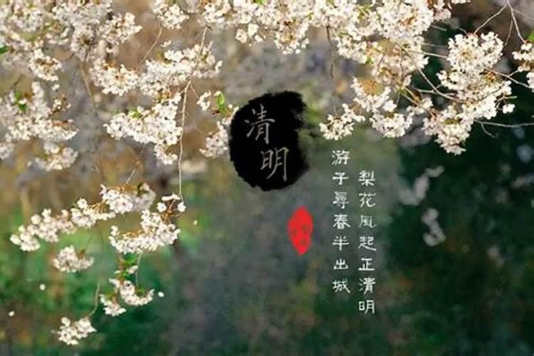 如何知道自己的生辰八字是什么？