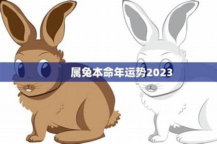 阴历1983年腊月初六早晨六点多出生生辰八字五行