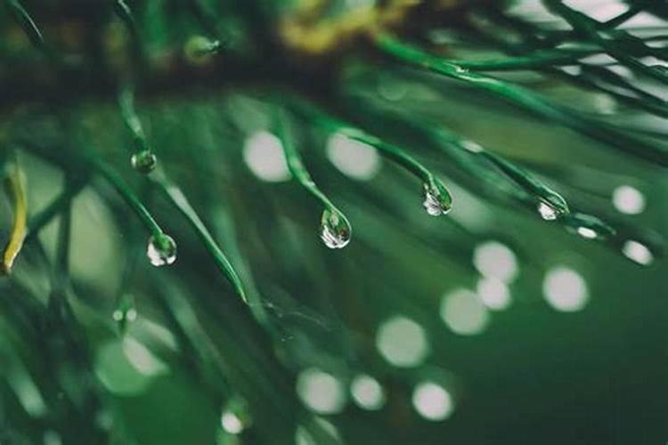 如何根据地球公转判断24节气？