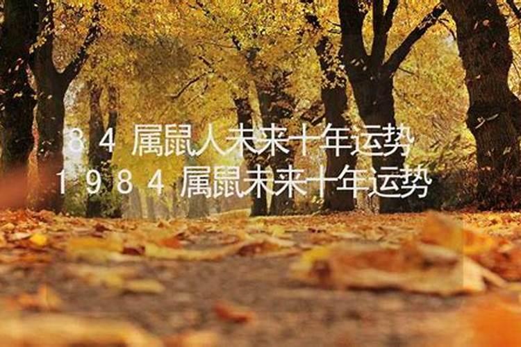 1984年鼠女2025年运势完整版