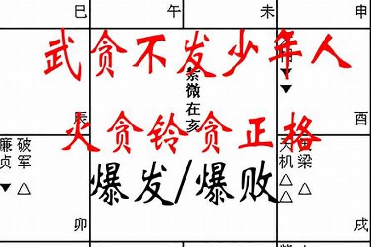 我的紫微命盘高手帮忙解下