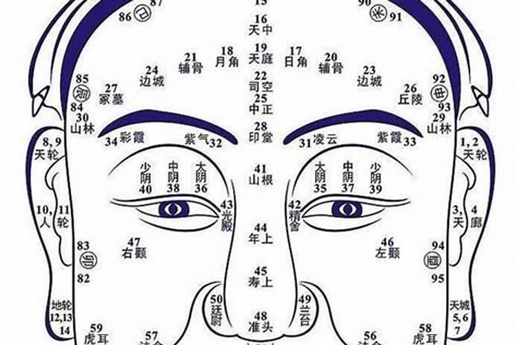 麻衣神相是什么意思