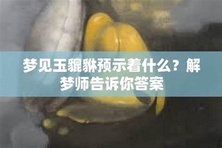 农历7月出生属羊人命好吗