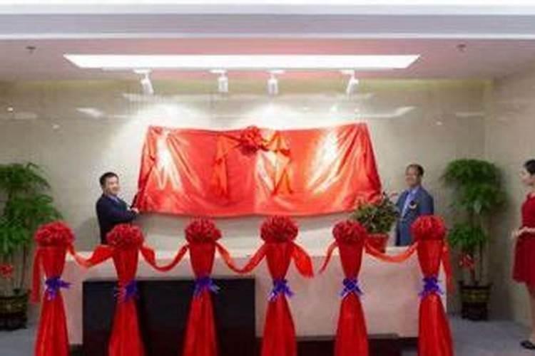 什么属相能养猫能旺财