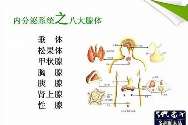 七杀大运什么时候走最好