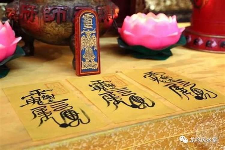 梦见很多猫来家里是什么意思 预兆