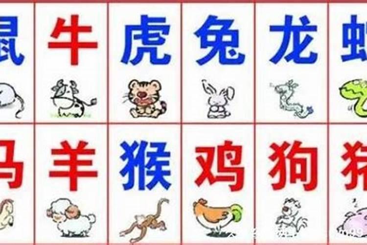 2025年6月9日动物运势