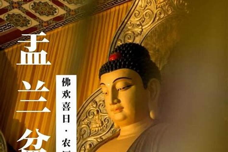 今年十九了哪里有赶会