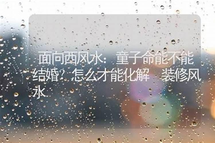 1995年出生的人属什么命？