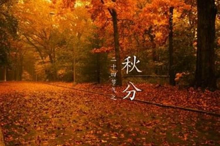 秋分的习俗
