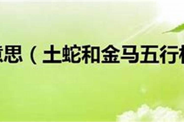 十一月属蛇的命运如何