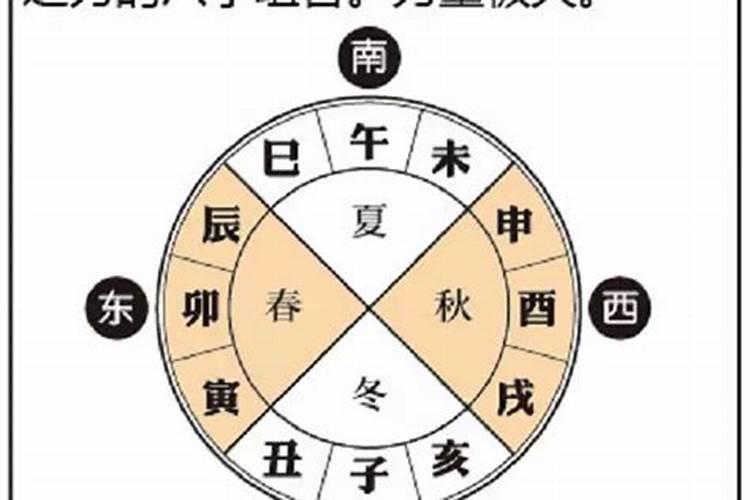 1981年属鸡女2025年每个月运势