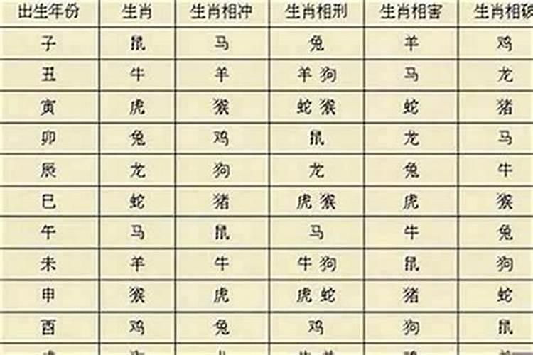 属兔最旺什么方位