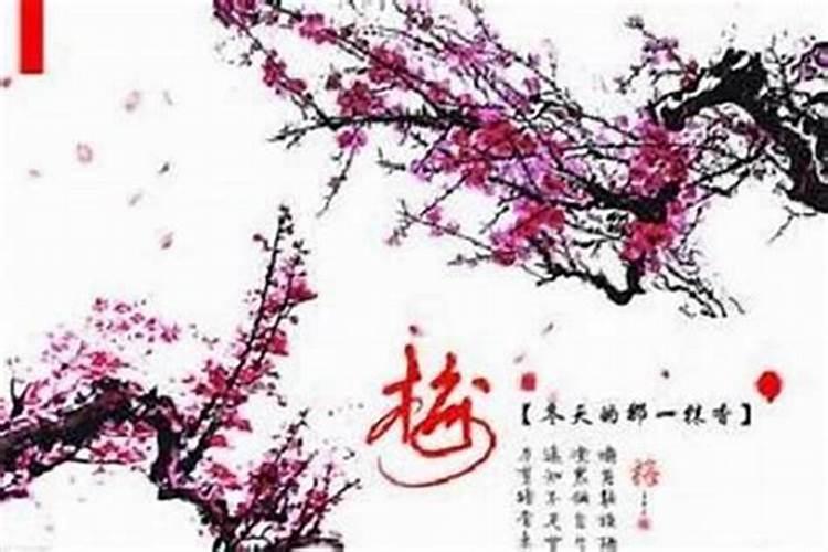梅字取名的寓意是什么？