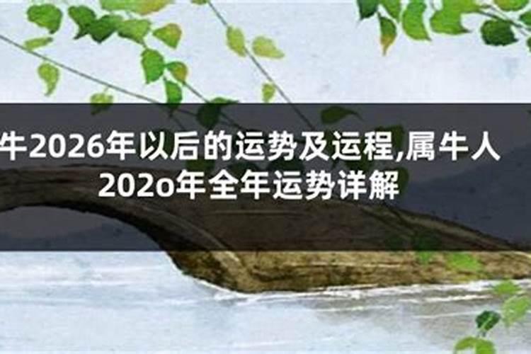 97年属牛男2025年姻缘运势