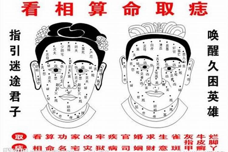 八字和看相哪个准
