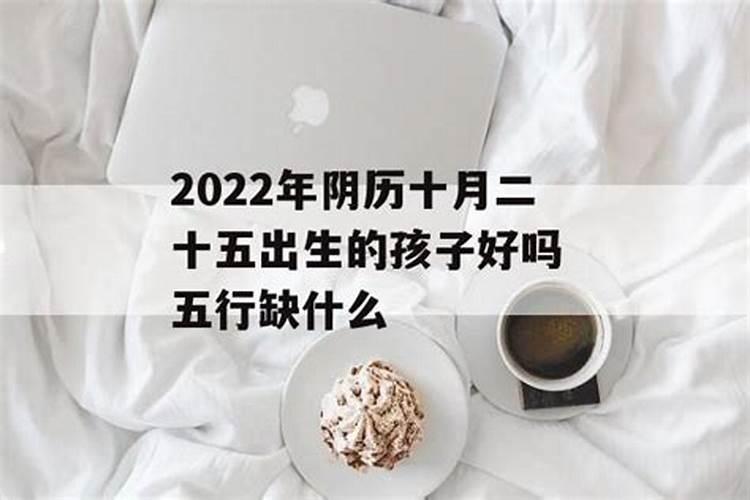 1991年阴历10月25四点的羊五行缺什么