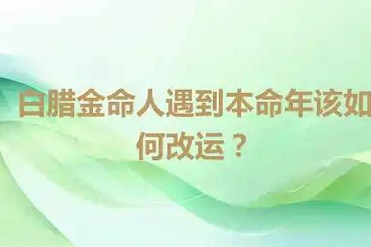 白蜡金命的人命运如何