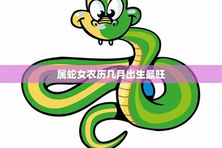 属鸡戴什么最旺偏财运