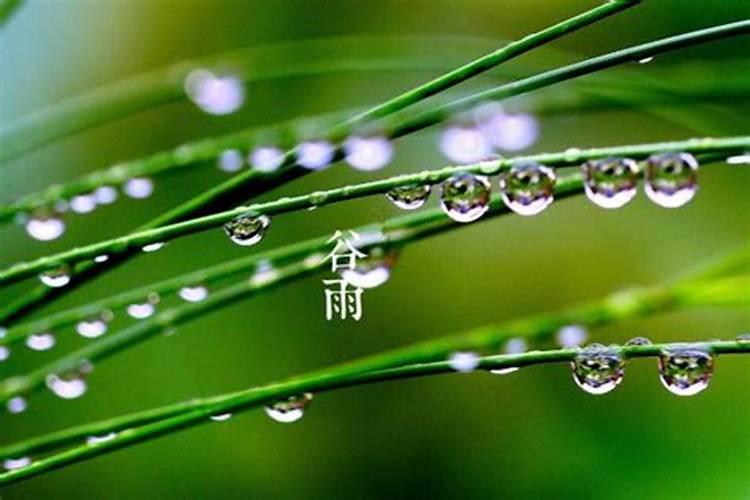24节气告诉我们什么时候做什么农活